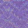 Lack-Aida 17X3-orchidee