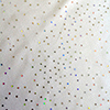 Lack-Glitzer 18D7-weiß-twinkle-holo-silber