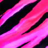 Samt-Print 20JI pink-schwarz